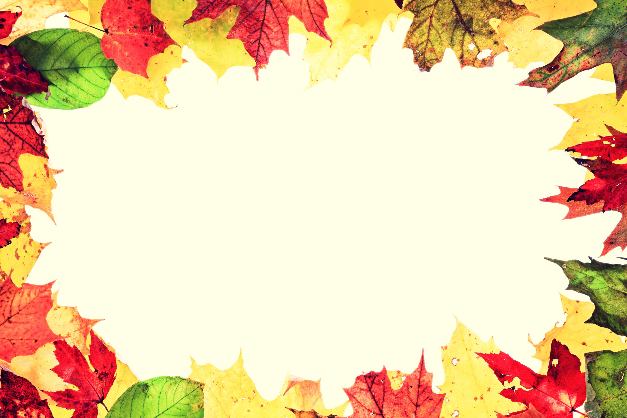 Autumn Background